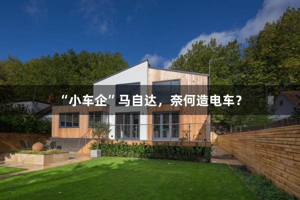 “小车企”马自达，奈何造电车？