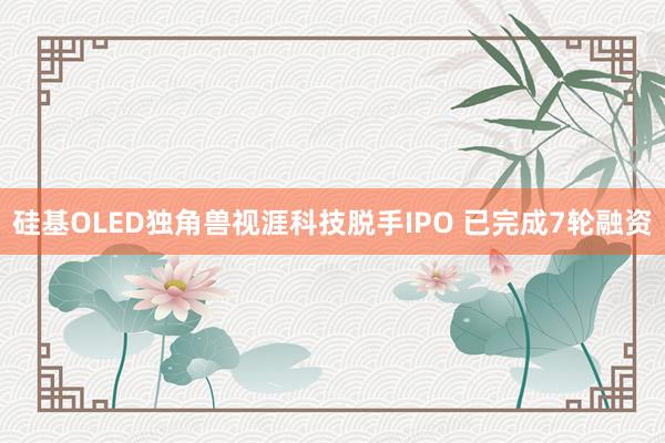 硅基OLED独角兽视涯科技脱手IPO 已完成7轮融资