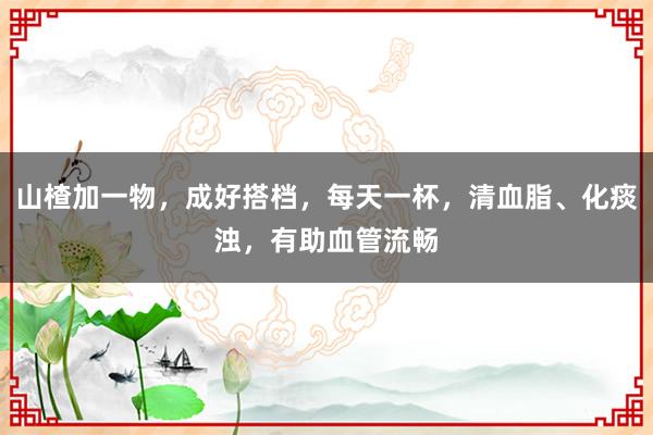 山楂加一物，成好搭档，每天一杯，清血脂、化痰浊，有助血管流畅