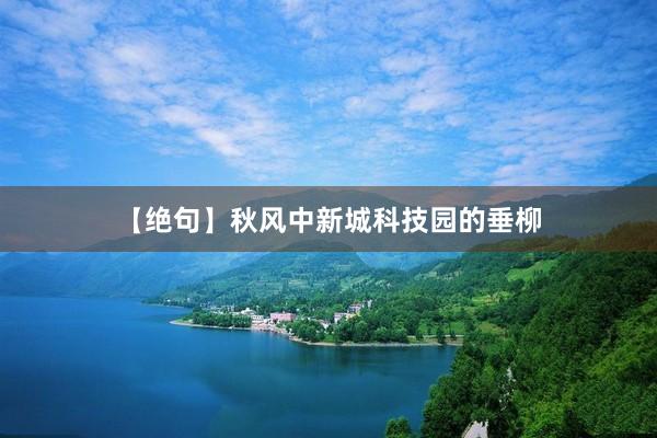 【绝句】秋风中新城科技园的垂柳