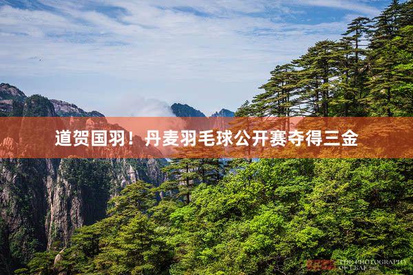 道贺国羽！丹麦羽毛球公开赛夺得三金