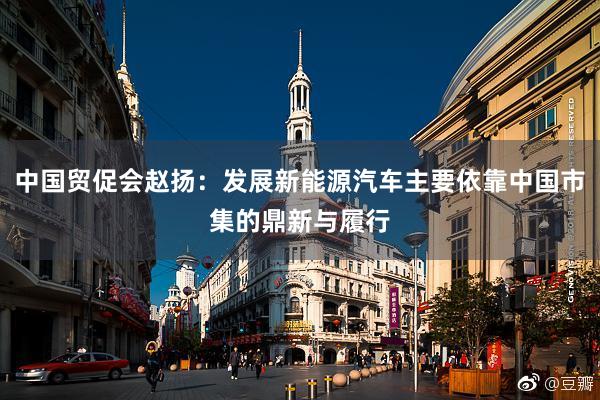 中国贸促会赵扬：发展新能源汽车主要依靠中国市集的鼎新与履行