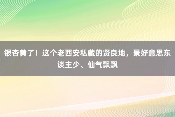银杏黄了！这个老西安私藏的贤良地，景好意思东谈主少、仙气飘飘
