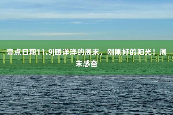 壹点日期11.9|暖洋洋的周末，刚刚好的阳光！周末感奋