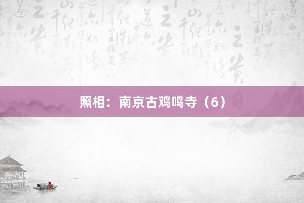 照相：南京古鸡鸣寺（6）