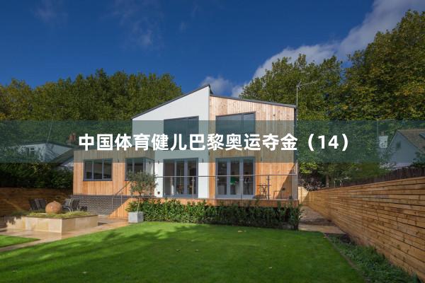 中国体育健儿巴黎奥运夺金（14）