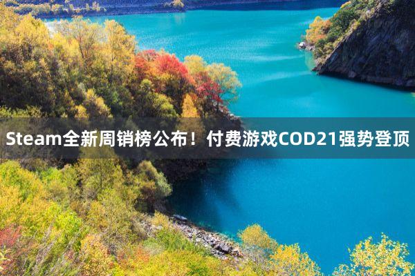 Steam全新周销榜公布！付费游戏COD21强势登顶