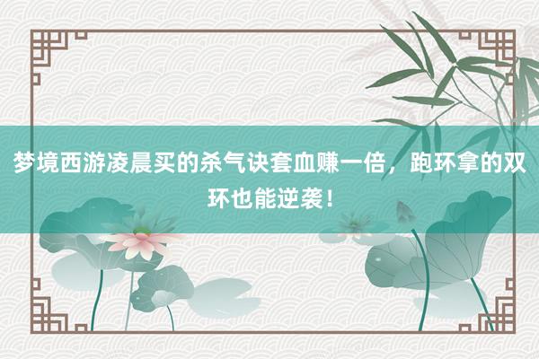 梦境西游凌晨买的杀气诀套血赚一倍，跑环拿的双环也能逆袭！