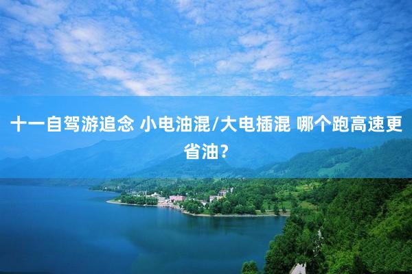 十一自驾游追念 小电油混/大电插混 哪个跑高速更省油？