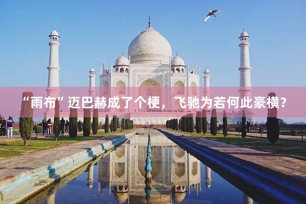 “雨布”迈巴赫成了个梗，飞驰为若何此豪横？
