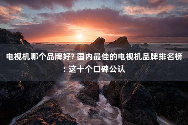 电视机哪个品牌好? 国内最佳的电视机品牌排名榜: 这十个口碑公认