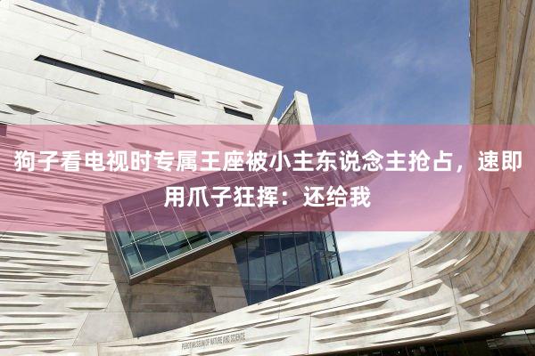 狗子看电视时专属王座被小主东说念主抢占，速即用爪子狂挥：还给我