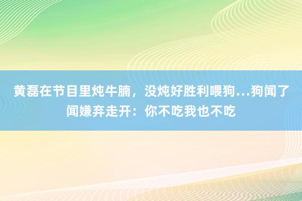 黄磊在节目里炖牛腩，没炖好胜利喂狗…狗闻了闻嫌弃走开：你不吃我也不吃